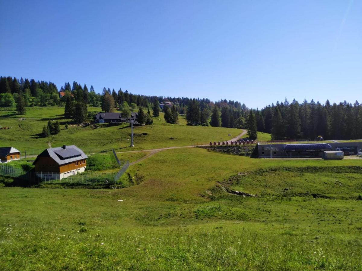 Ferienwohnung Feldberg - Residenz Grafenmatt Extérieur photo